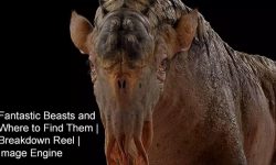 Image Engine on how they created the “Fantastic Beasts”
