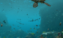 GPU-Powered Museum Show at California Academy of Sciences